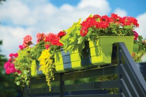 Form-Plastic 3x Skrzynka na balustradę Wave 30, Doniczka balkonowa + keramzyt 5l 4