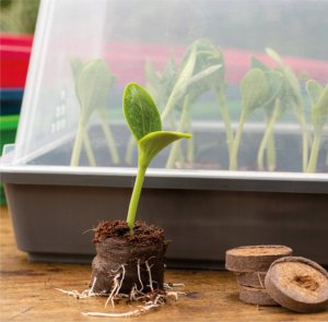 Ibergarden Miniszklarnia plastikowa, rozsadnik domowy, 17,4 x 21,5 x 12,8 cm 3