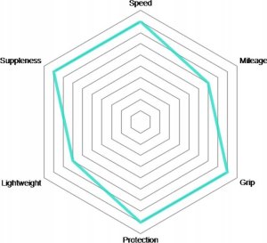 Vittoria Padanga 28" Vittoria Corsa TLR Fold 700x28c / 28-622 juodas 3