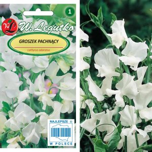 Legutko Zestaw nasion Groszek pachnący Gipsówka Lobelia 4