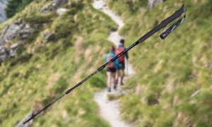 Masters Žygių lazdos Summit Light Calu 3