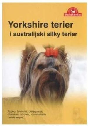 Yorkshire terier i australijski silky terier 1