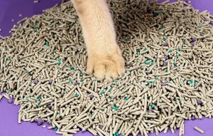 Żwirek dla kota Petkit 7 l 2