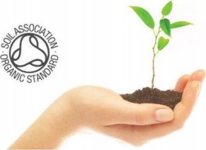 Bentley Organic Bentley Organic, Środek do Czyszczenia Szyb i Luster - Spray na bazie octu i cytrusów, 500ml 3