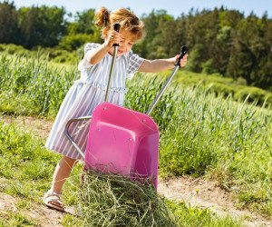 Rolly Toys Metalowa taczka różowa (274802) 9