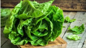 Lodówka Gorenje Gorenje Refrigerator | NRKI418EE1 | Energy efficiency class E | Built-in | Combi | Height 177.2 cm | No Frost system | Fridge net capacity 180 L | Freezer net capacity 68 L | Display | 39 dB | White 11