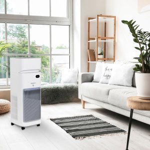 Oczyszczacz powietrza Webber Webber AP9650 Wi-Fi 10