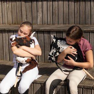 Froster Koń na Kiju - Hobby Horse Skippi - Karo-Srokaty 11