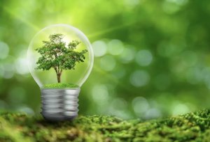 Zamrażarka Gorenje FH30DAW 10