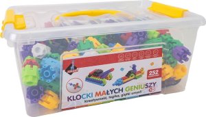 Askato Klocki małych geniuszy śrubki 252 elementy 6
