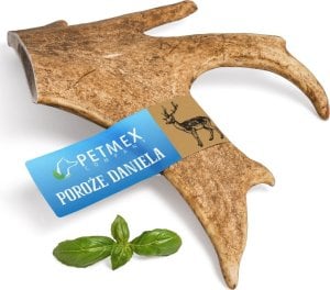 Petmex PETMEX - Poroże daniela L 1