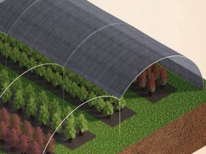 Linarem SiatkiSieci SIATKA CIENIUJĄCA 2x50m OSŁONA MASKUJĄCA NA OGRODZENIE PŁOT 75% GRAFITOWA 8