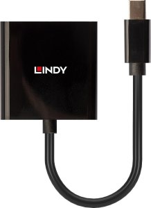 Adapter AV Lindy Adap Lindy Mini DP auf DVI Konverter aktiv 2