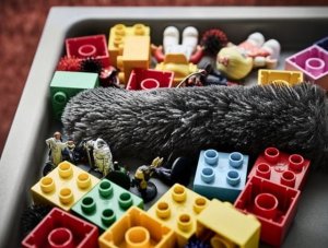 Electrolux ELECTROLUX nozzle KIT21 3