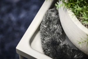 Electrolux ELECTROLUX nozzle KIT21 7