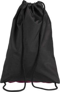 Arena Torba TEAM SACK BIG LOGO 4
