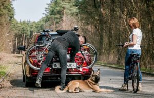 Inter Pack Platforma New Spider 3 InterPack 6