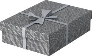 Esselte Pudełka dom przechow pół roz. M 3szt szary 2