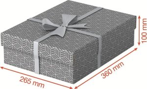 Esselte Pudełka dom przechow pół roz. M 3szt szary 3