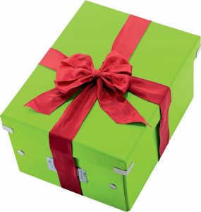 Leitz Pud�o uniwersalne Leitz CS A4 zielone 7