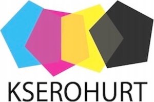 Ricoh Ricoh Developer unit D1979641 Black 2