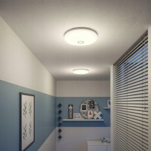 Lampa sufitowa Philips PLAFOND MAUVE CL252 16W 40K W 32CM 6