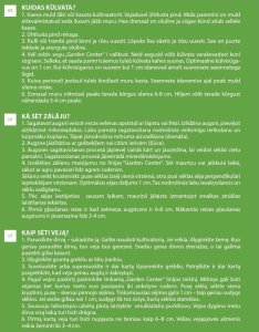 Sourcing LAWN SEEDS BABY SOFT 3KG 2