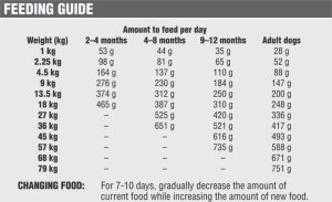 DIAMOND PET FOODS Diamond Naturals Breeders Bag 20 kg. Kurczak i ryż dla psów w każdym wieku. sztuka 2