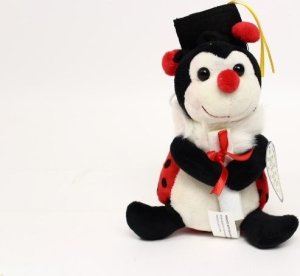 Sun-Day Biedronka B-146 Profesor 15cm 151575 2