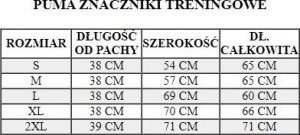 Puma Znacznik męski Puma Bib Fluo pomarańczowy 657251 40 2XL 3