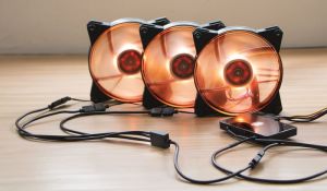 Cooler Master 4-pin - 4-pin x3, 0.58m, Czarny (R4-ACCY-RGBS-R2) 7