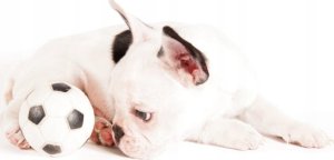 Tullo Piłka futbolowa piszcząca 7cm 206 72060 2