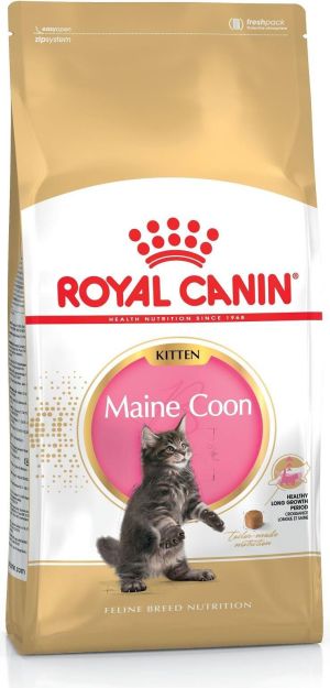 Royal Canin Kitten Food Maine Coon 36 Dry Mix 10kg 1