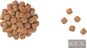 Royal Canin Neutered Satiety Balance 12kg 2