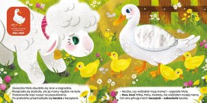 Morex Dotykamy i Słuchamy Na wsi Owieczka Mela... 12122 2