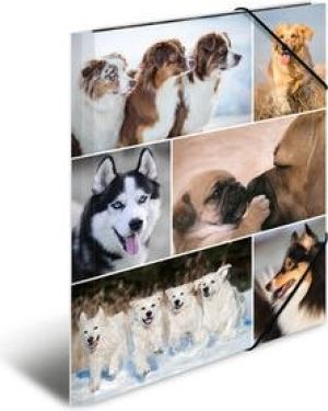 Herma Teczka A4 (19211) 3