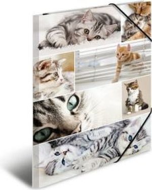 Herma Teczka A3 (19219) 3