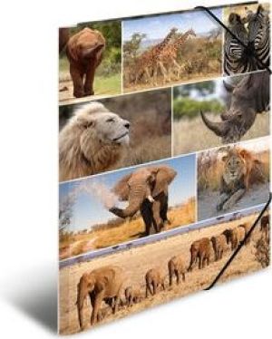 Herma Teczka A3 (19222) 3