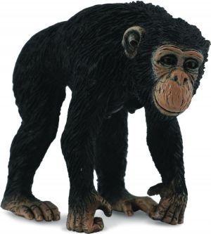 Figurka Collecta Szympans samica (004-88493) 1