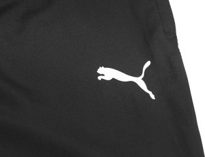 Puma Spodnie męskie Puma teamRISE Sideline Pants czarne 657327 03 L 2