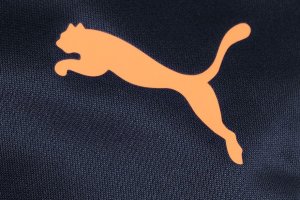 Puma Spodnie męskie Puma teamLIGA Training Pants granatowe 657242 47 S 2