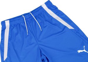 Puma Spodenki męskie Puma teamLIGA niebieskie 704924 02 XL 5