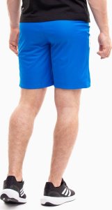 Puma Spodenki męskie Puma teamLIGA niebieskie 704924 02 M 2