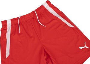 Puma Spodenki męskie Puma teamLIGA czerwone 704924 01 2XL 5