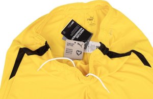 Puma Spodenki męskie Puma teamLIGA żółte 704924 07 XL 5