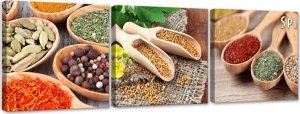 Feeby Obraz trzyczęściowy na płótnie, Przyprawy świata - 90x30 1