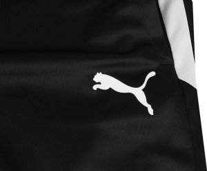 Puma Spodnie męskie Puma teamLIGA Training 3/4 Pants 657271 03 S 4