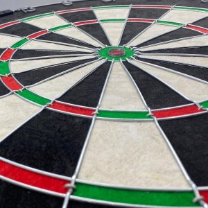 Triton DART SIZALOWY 45CM OFFICIAL CHAMPIONSHIP ENERO PRO 4