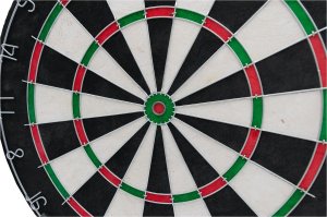 Triton DART SIZALOWY 45CM OFFICIAL CHAMPIONSHIP ENERO PRO 5