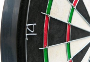 Triton DART SIZALOWY 45CM OFFICIAL CHAMPIONSHIP ENERO PRO 6